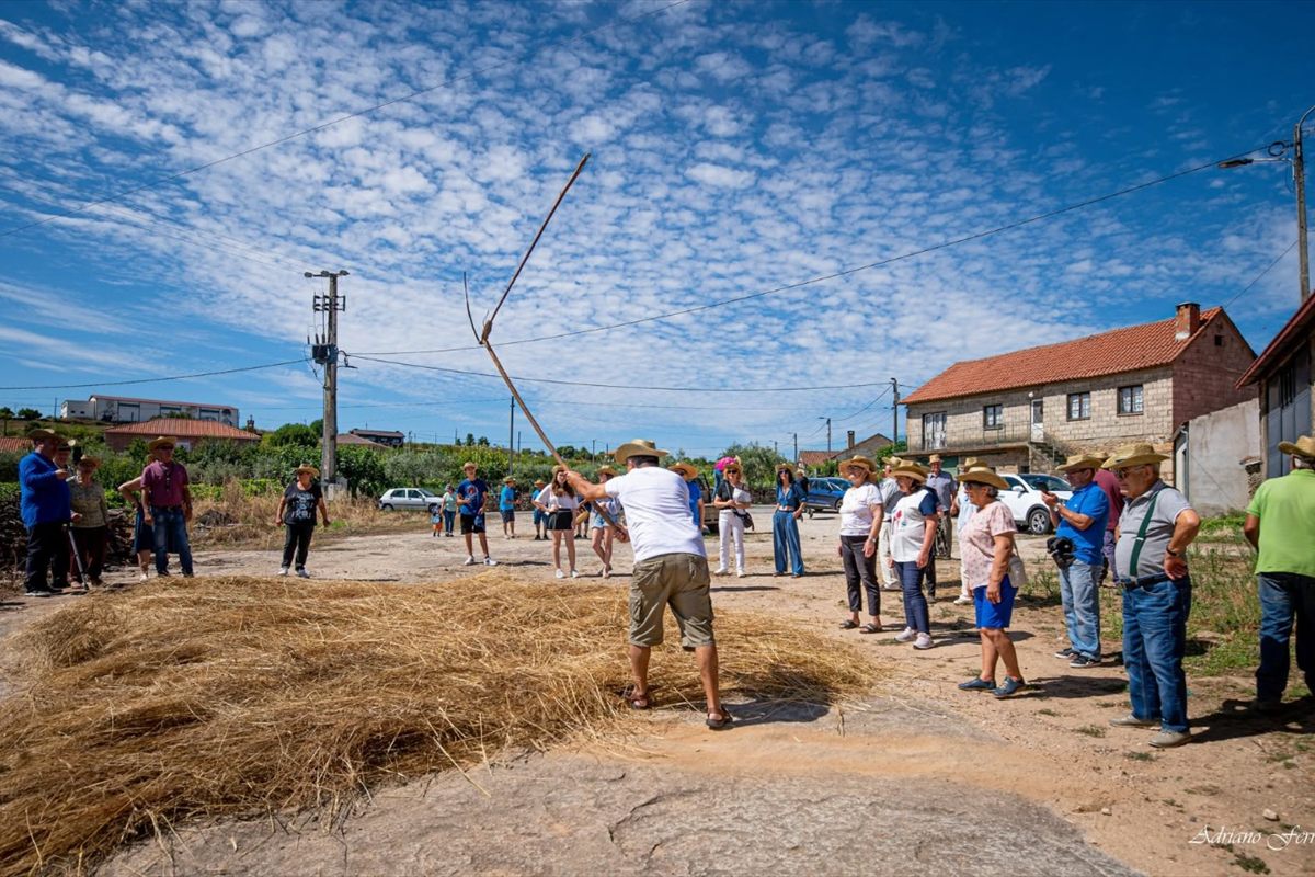 Homem a malhar o centeio com um mangual, rodeado de pessoas, no evento Tradições